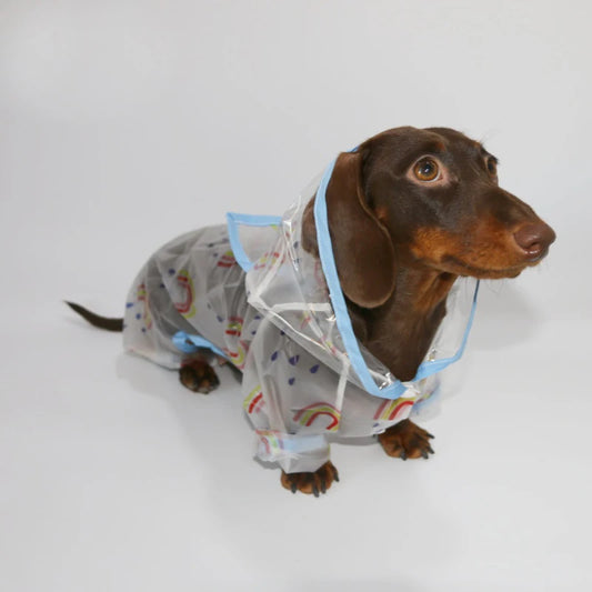 The Rainebow Waterproof Coat LB