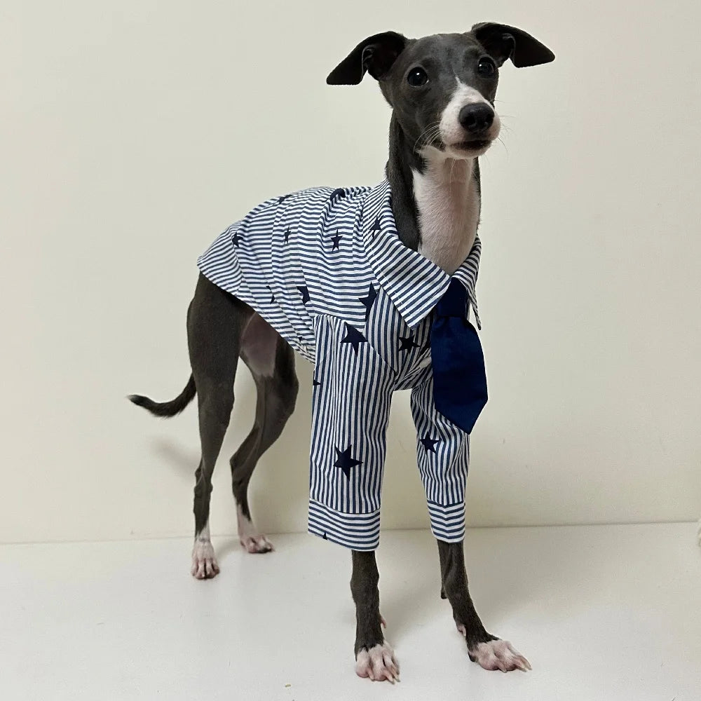 The Star Striped Button-Up