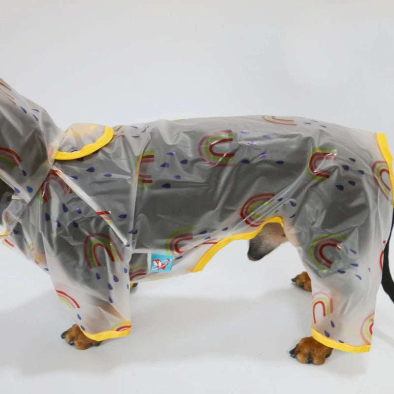 The Rainebow Waterproof Coat LB