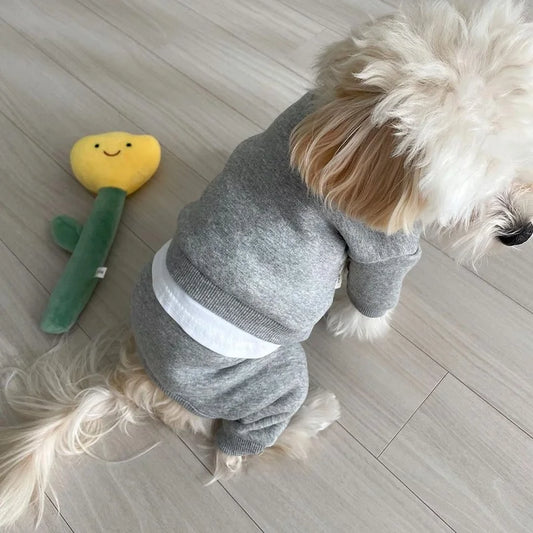 Pup Jogger Set