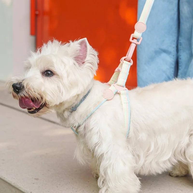 Pastel Leash Set