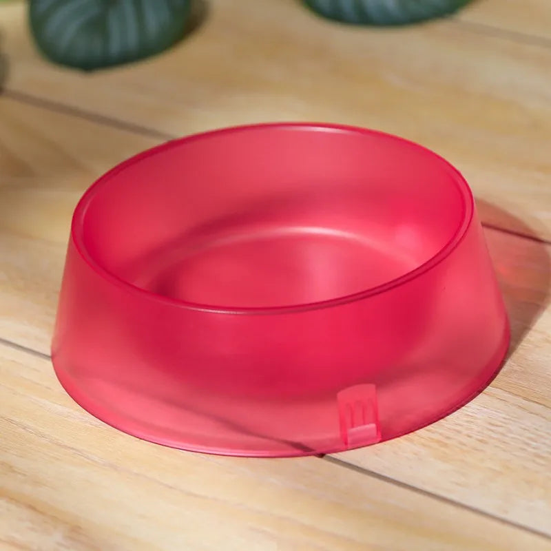 Translucent Bowl