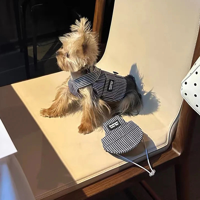 The Pinstripe Pup Vest + Hat Set