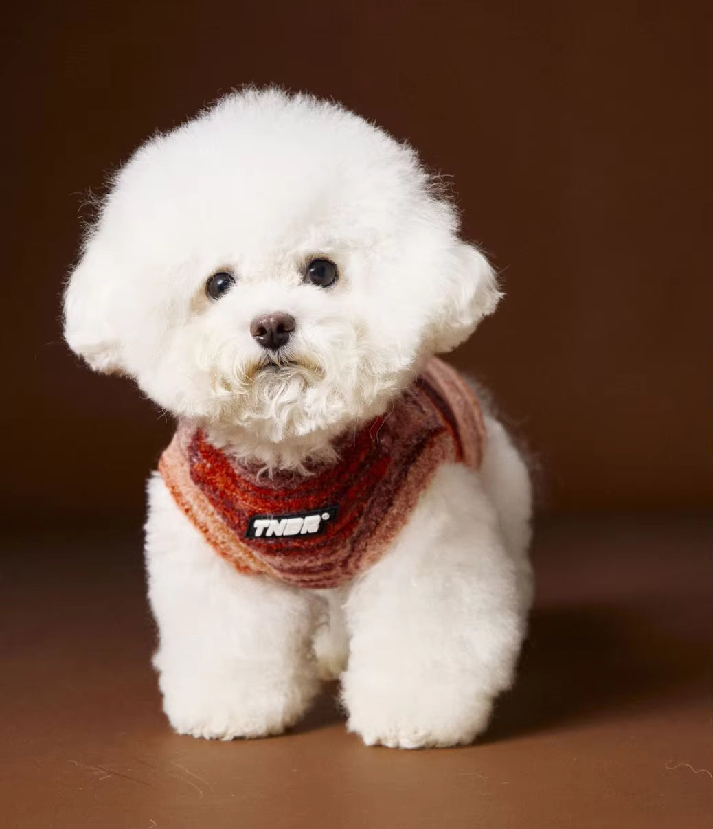 The Aura Stripe Sweater