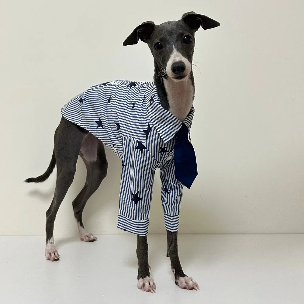 The Star Striped Button-Up