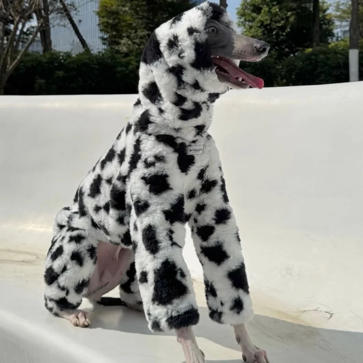 The Marshmallow Cow Jumper