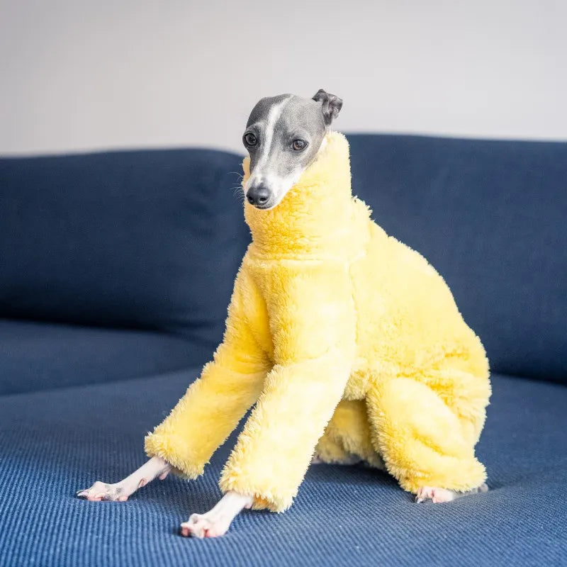 Soft High Collar Dog Full Body Coat