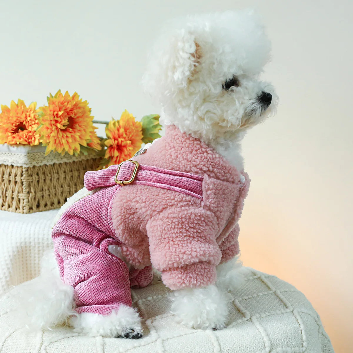 Love Fur Winter Dog Jumpsuit