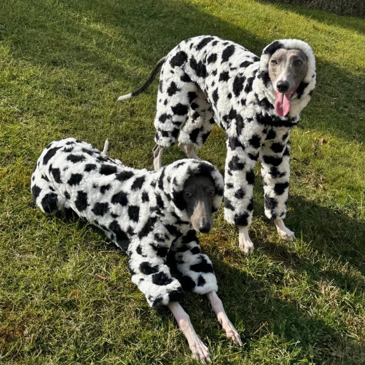 The Marshmallow Cow Jumper