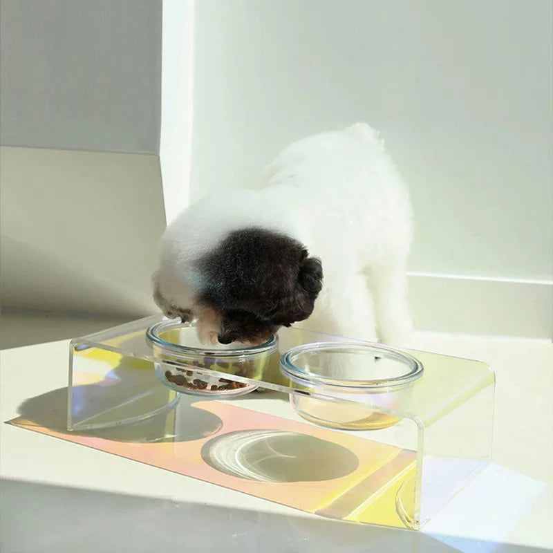 Iridescent Feeding Bowl