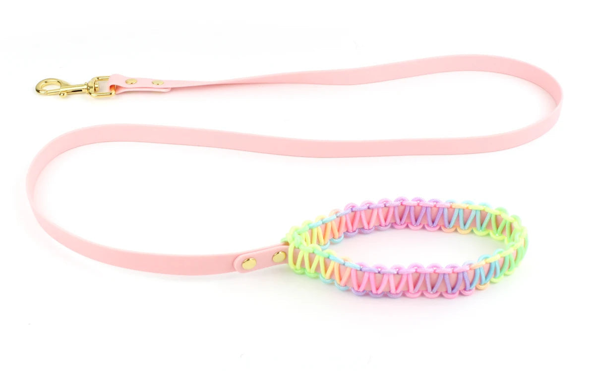 Colorful Dog Collar & Leash Set