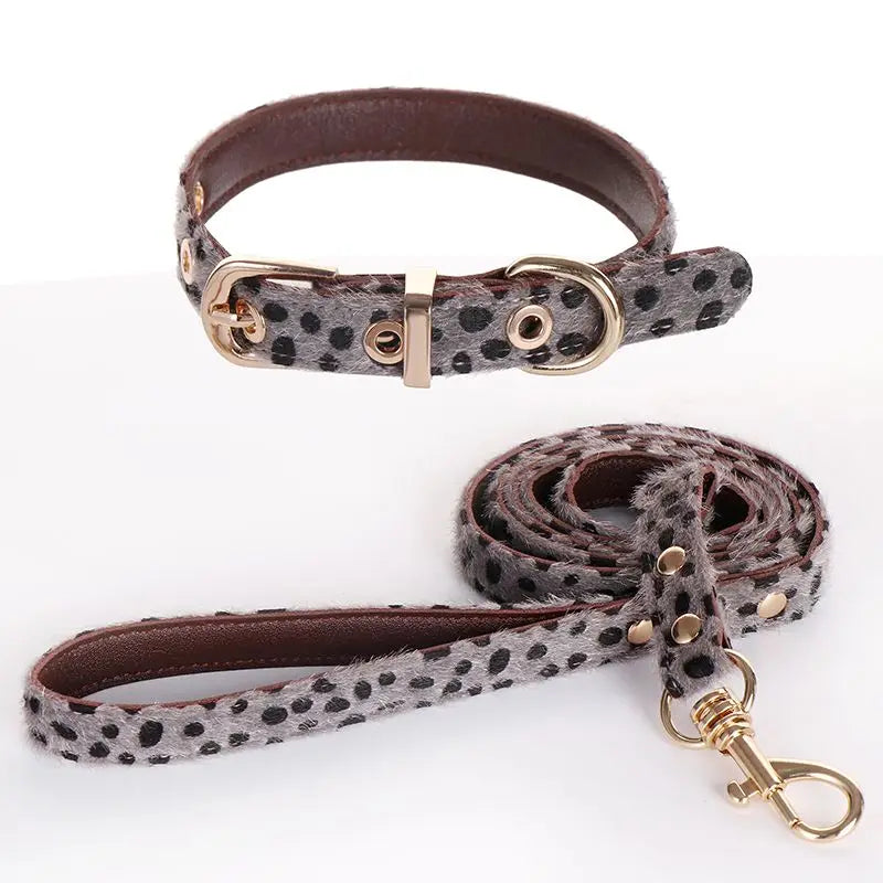 Leopard Print Dog Collar & Leash Set