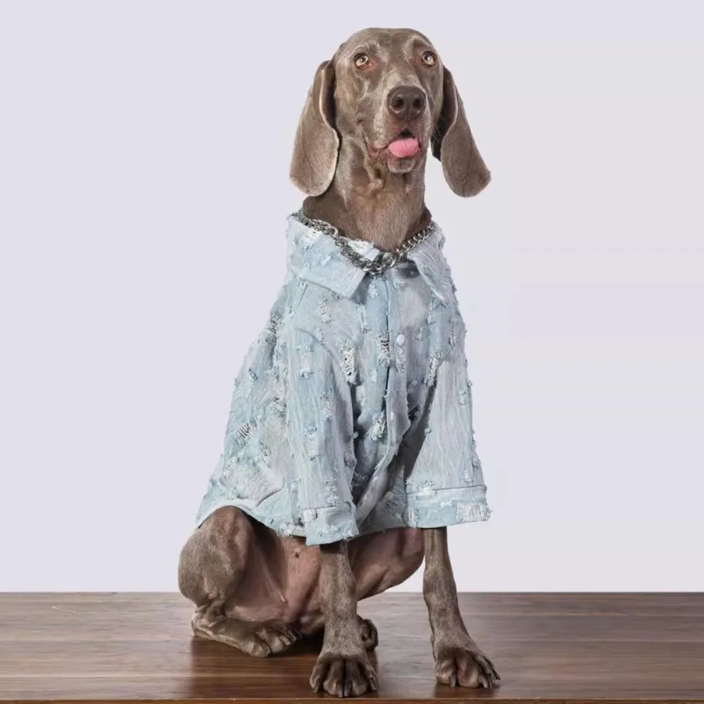 The Urban Distressed Denim Shirt