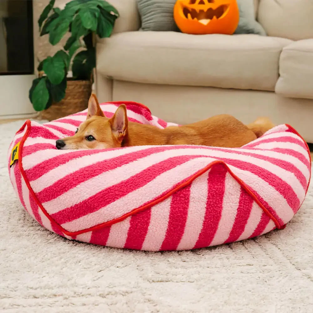 Striped Polygonal Dog Bed