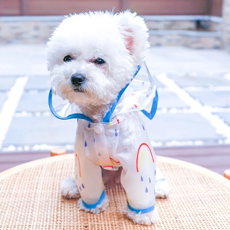 Waterproof Rainbow Print Dog Raincoat