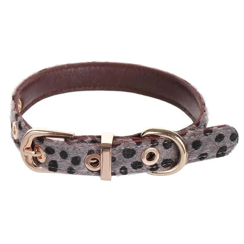 Leopard Print Dog Collar & Leash Set