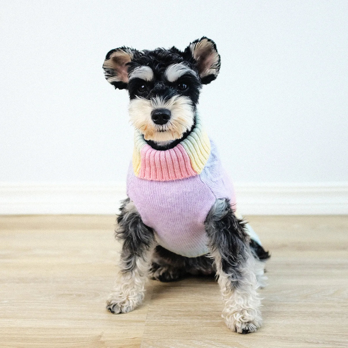 Pastel Rainbow Gradient Turtleneck Sweater