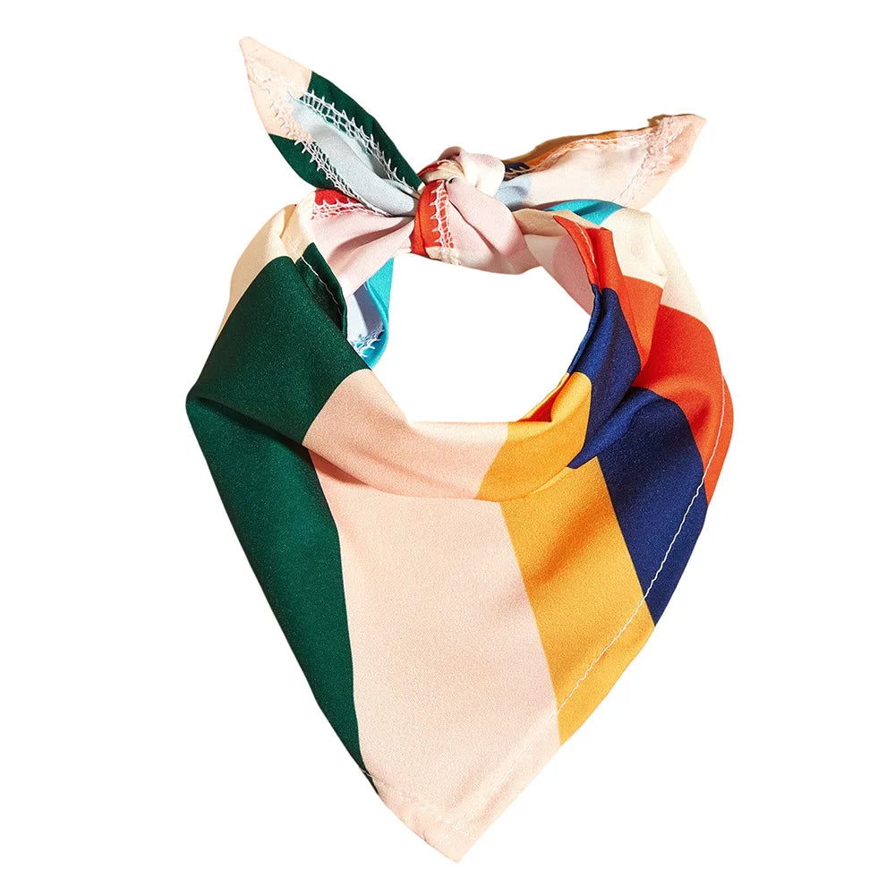 The Color Pop Bandana Collar