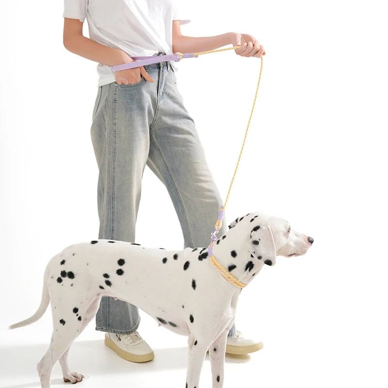 Bubblegum Trail Collar & Leash Set