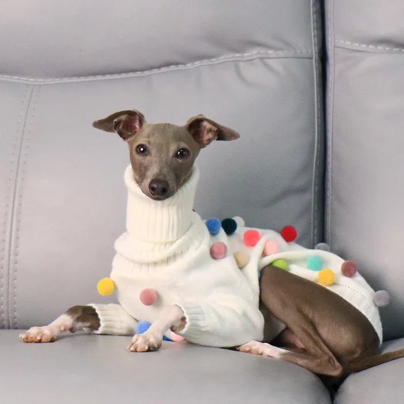 Pom Pom Parade Sweater
