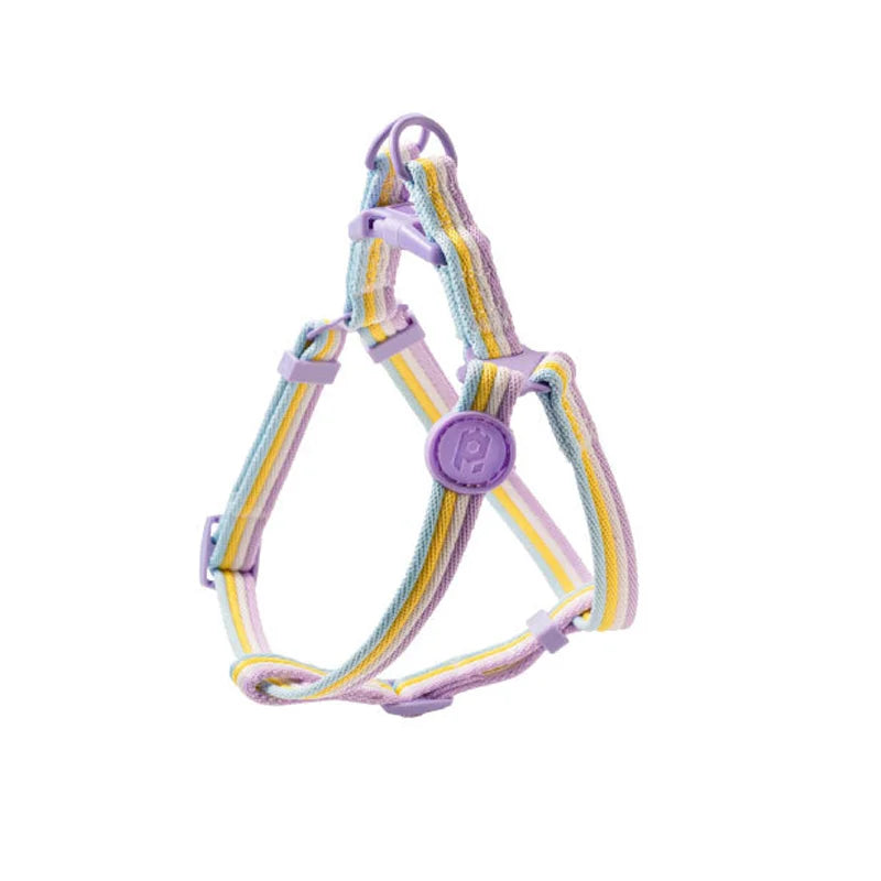 The Everyday Explorer Leash Set