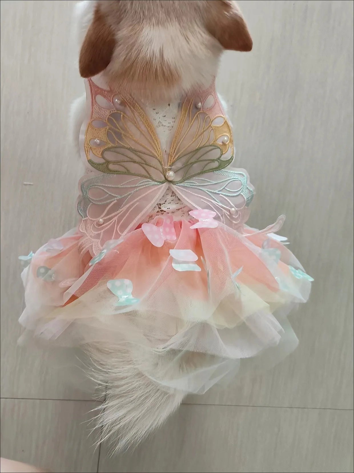 Butterfly Princess Dress