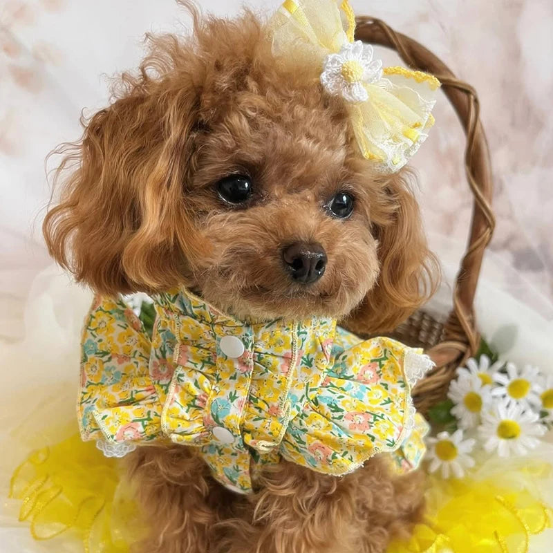 Yellow Floral Printed Dress