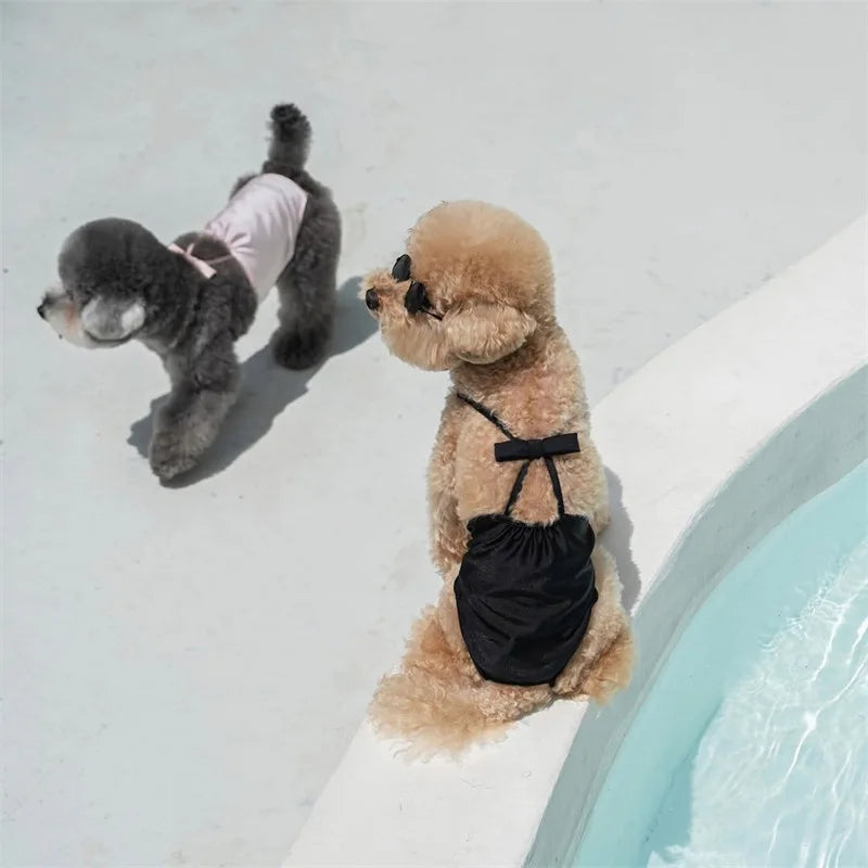 The Poolside Pup Swimsuit