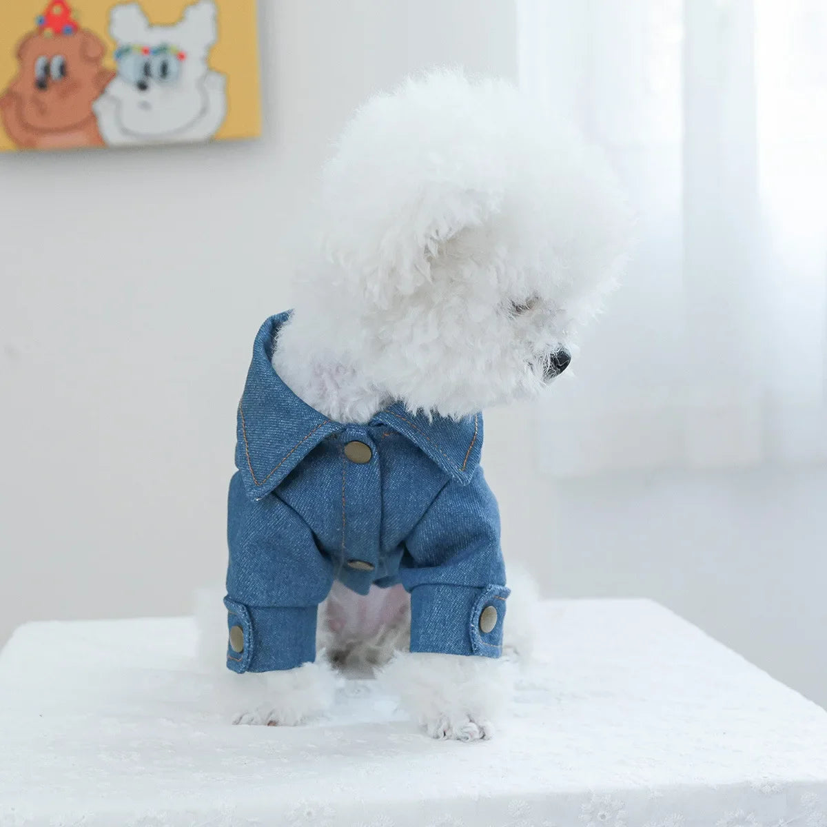 The Future Star Denim Jacket