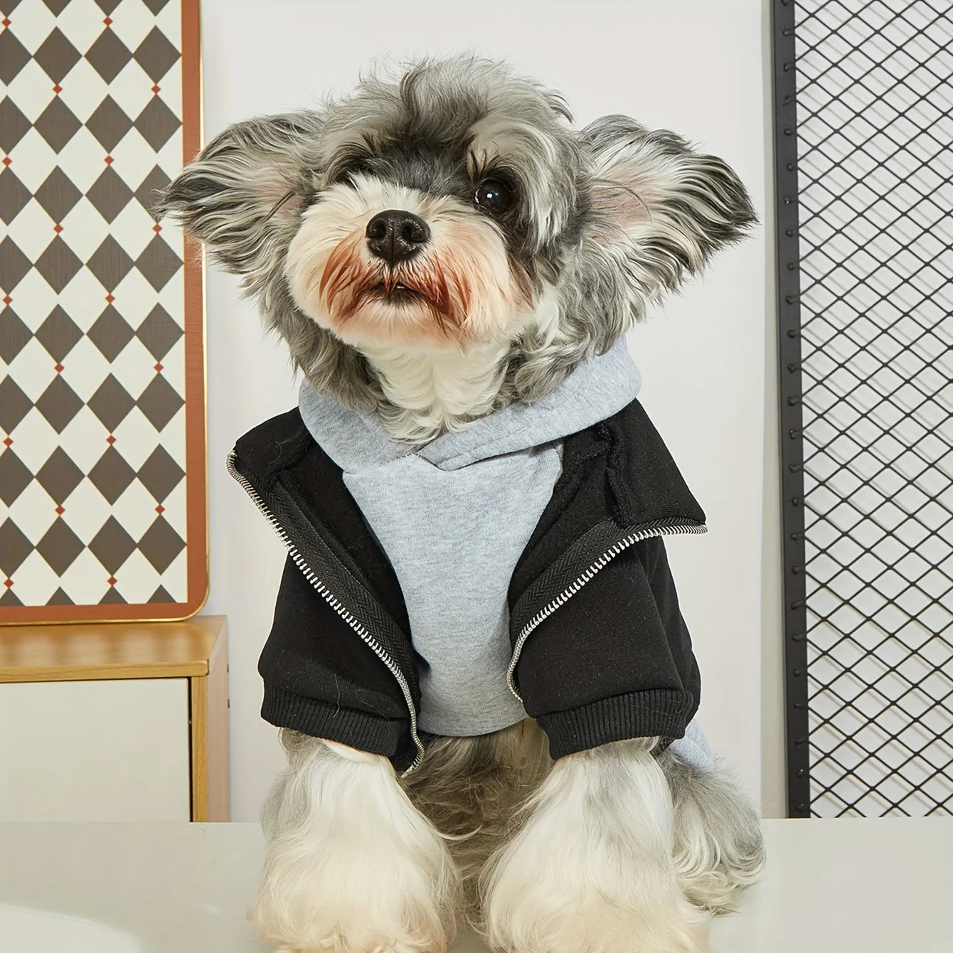 Street Layered Pup Hoodie