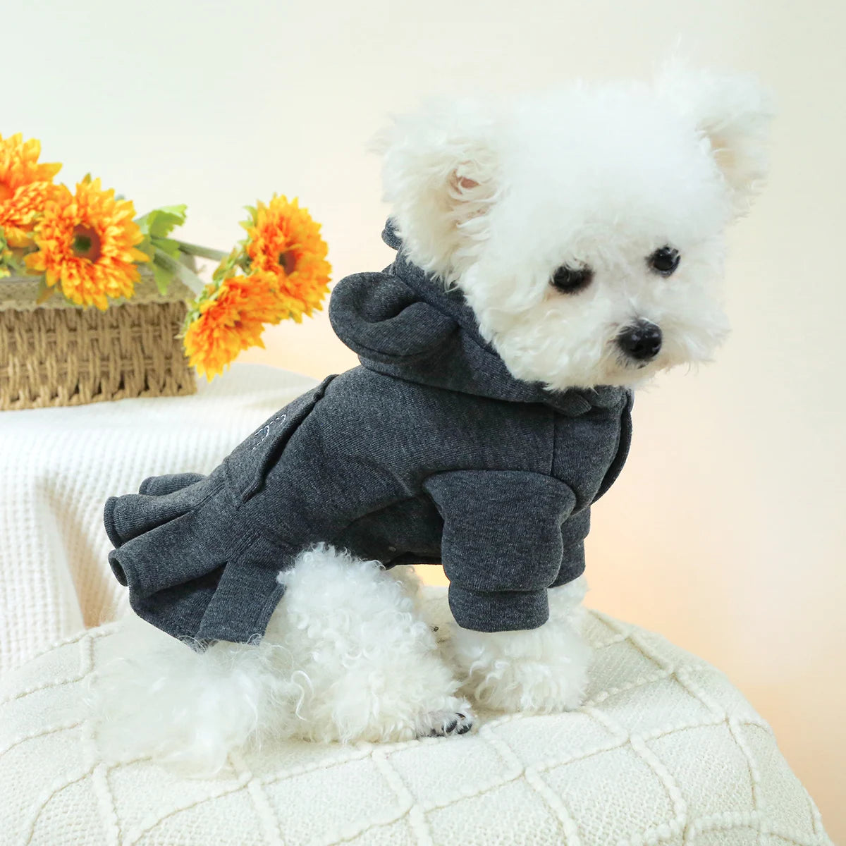Monochrome Pocket Hoodie Dress