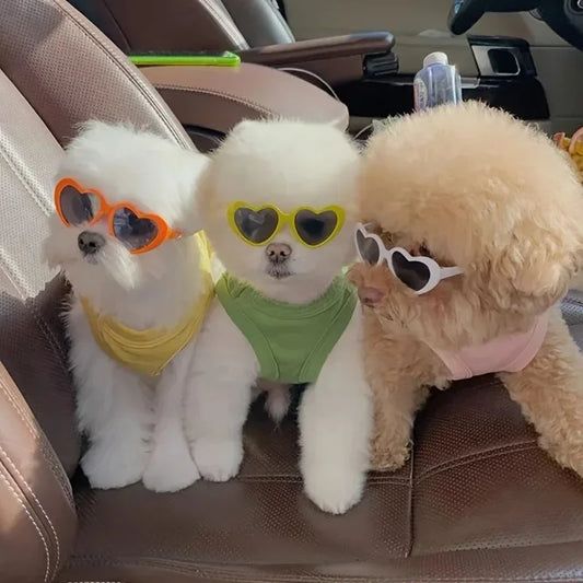 Heart-Shaped Pet Sunglasses