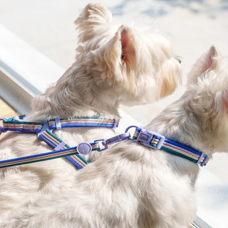 Pastel Leash Set