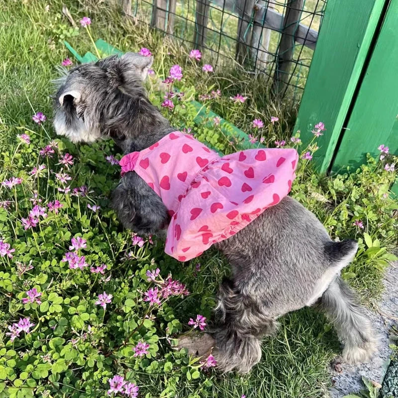 Pink Heart Dress