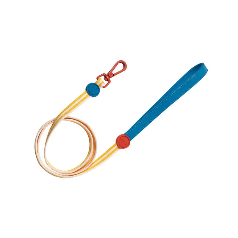 The Everyday Explorer Leash Set