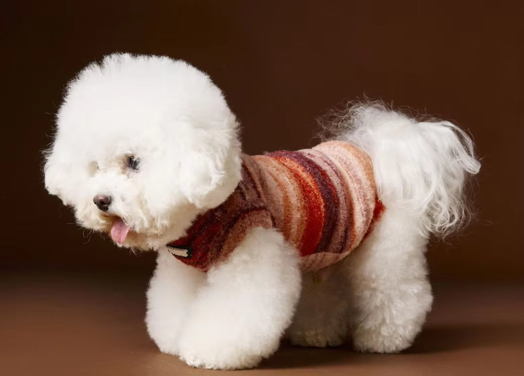 The Aura Stripe Sweater