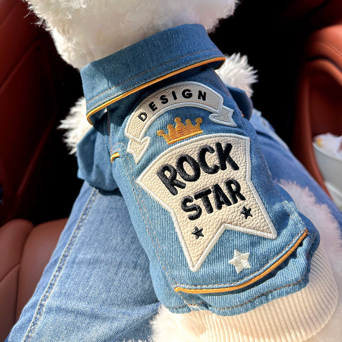 The Rockstar Denim Jacket