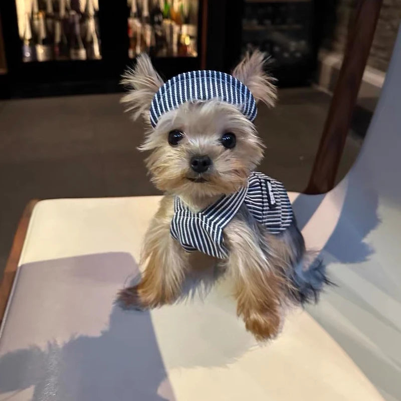 The Pinstripe Pup Vest + Hat Set
