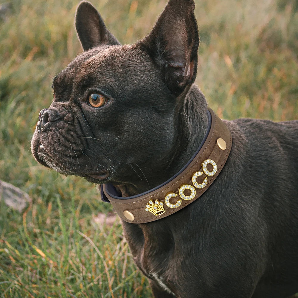 Personalized Bling Leather Collar