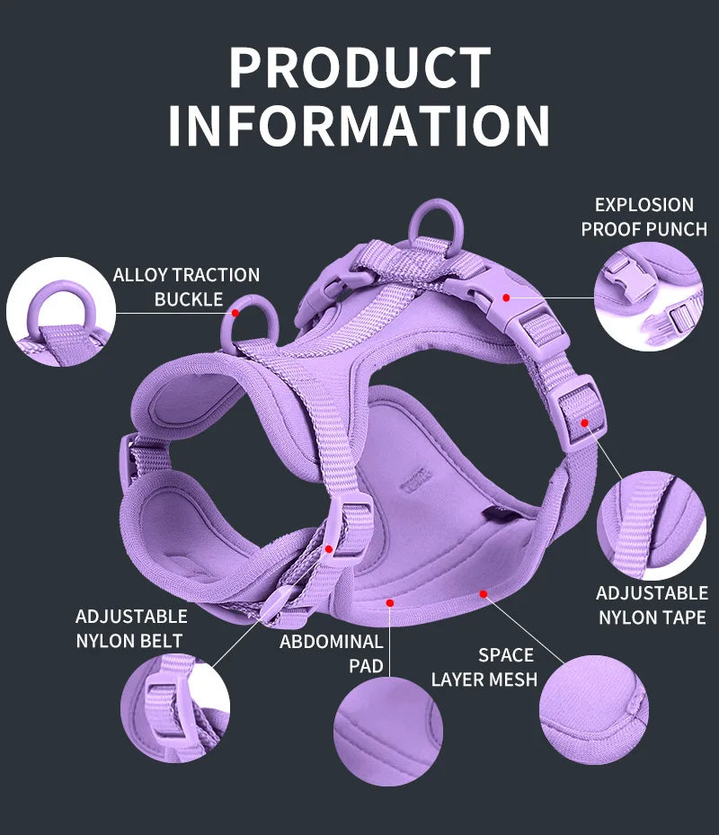 All-in-One Harness Set