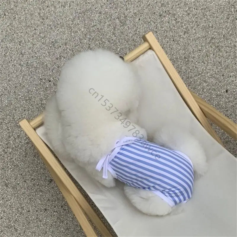 The Splash & Stripes Swimsuit