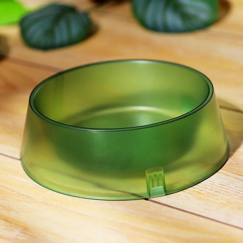 Translucent Bowl