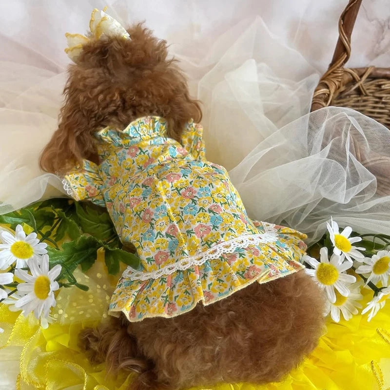 Yellow Floral Printed Dress