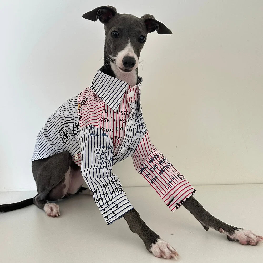 The Graffiti Stripe Button-Up