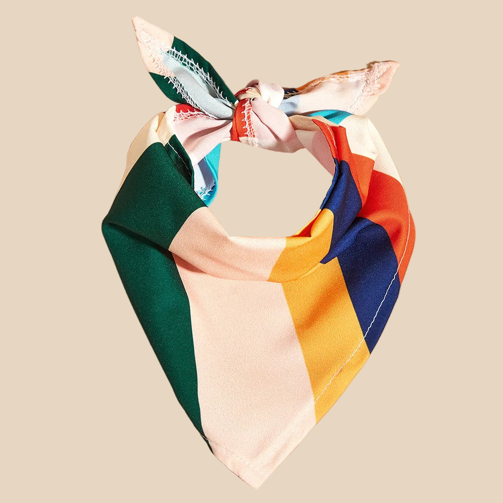The Color Pop Bandana Collar