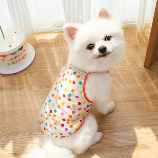 Colorful Mesh Printed Tank Top