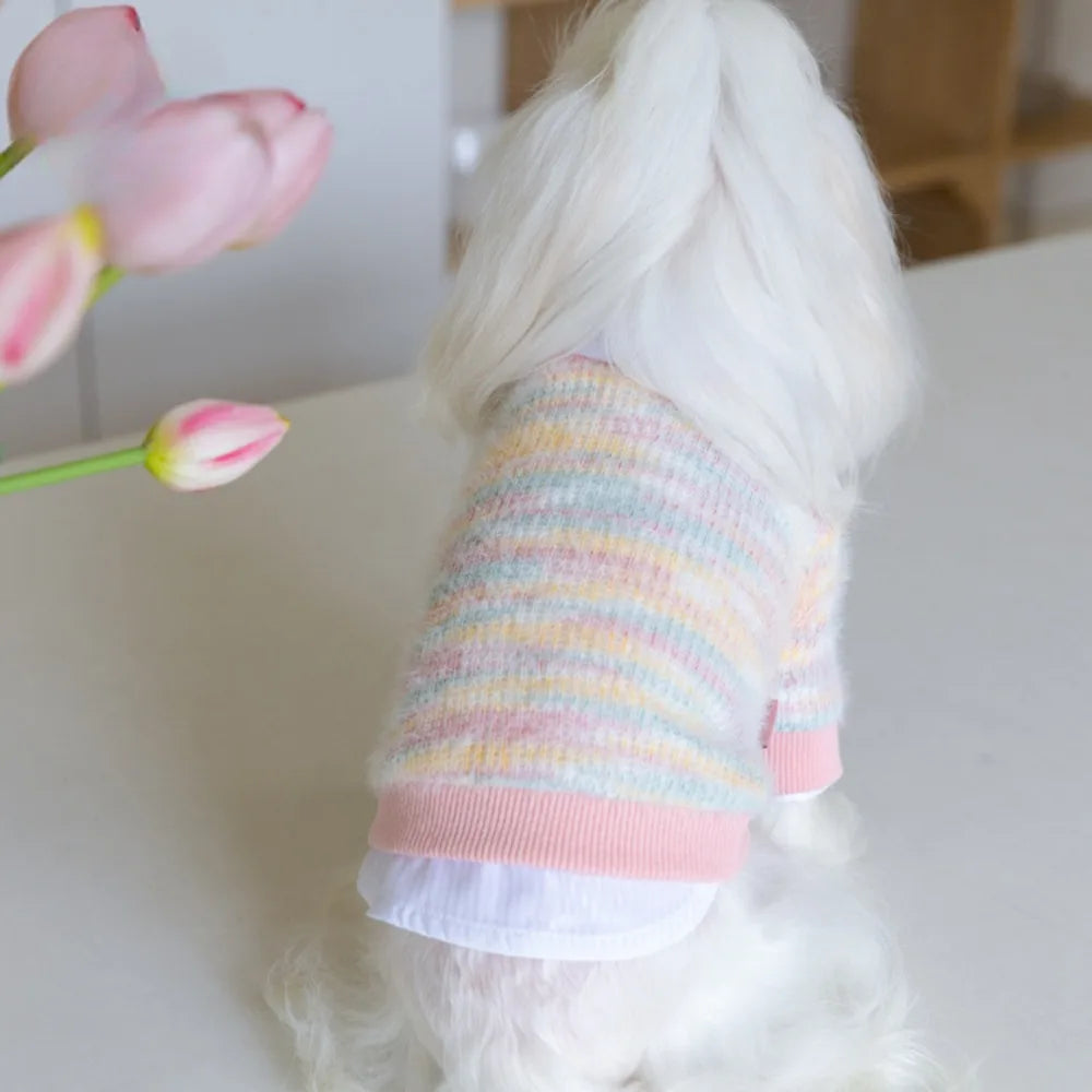 Pastel Multi Knit Sweater