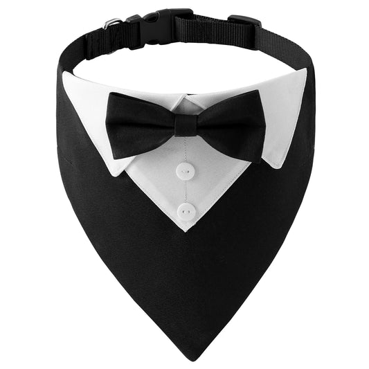 Bow Tie Collar
