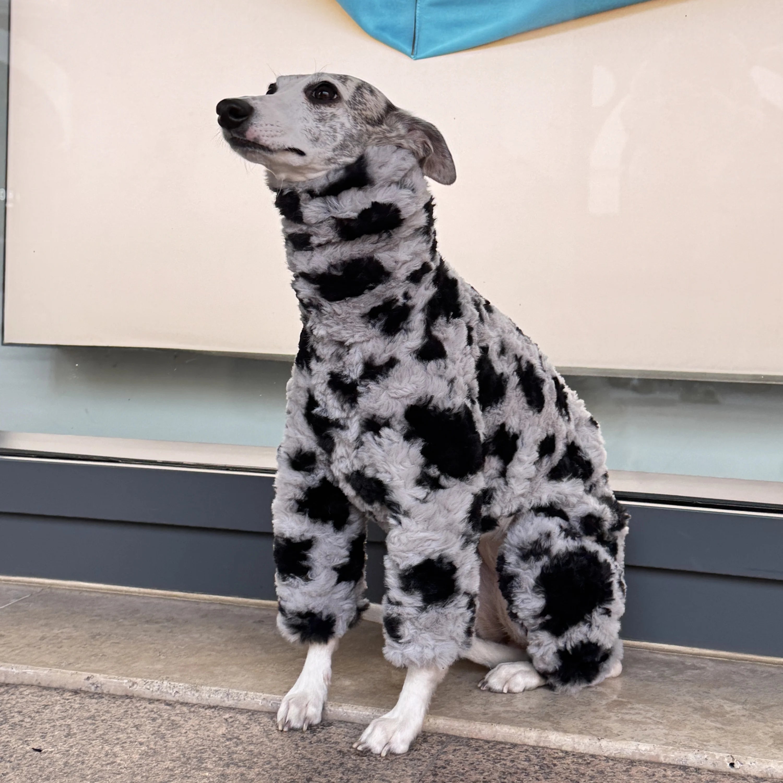 The Marshmallow Cow Jumper
