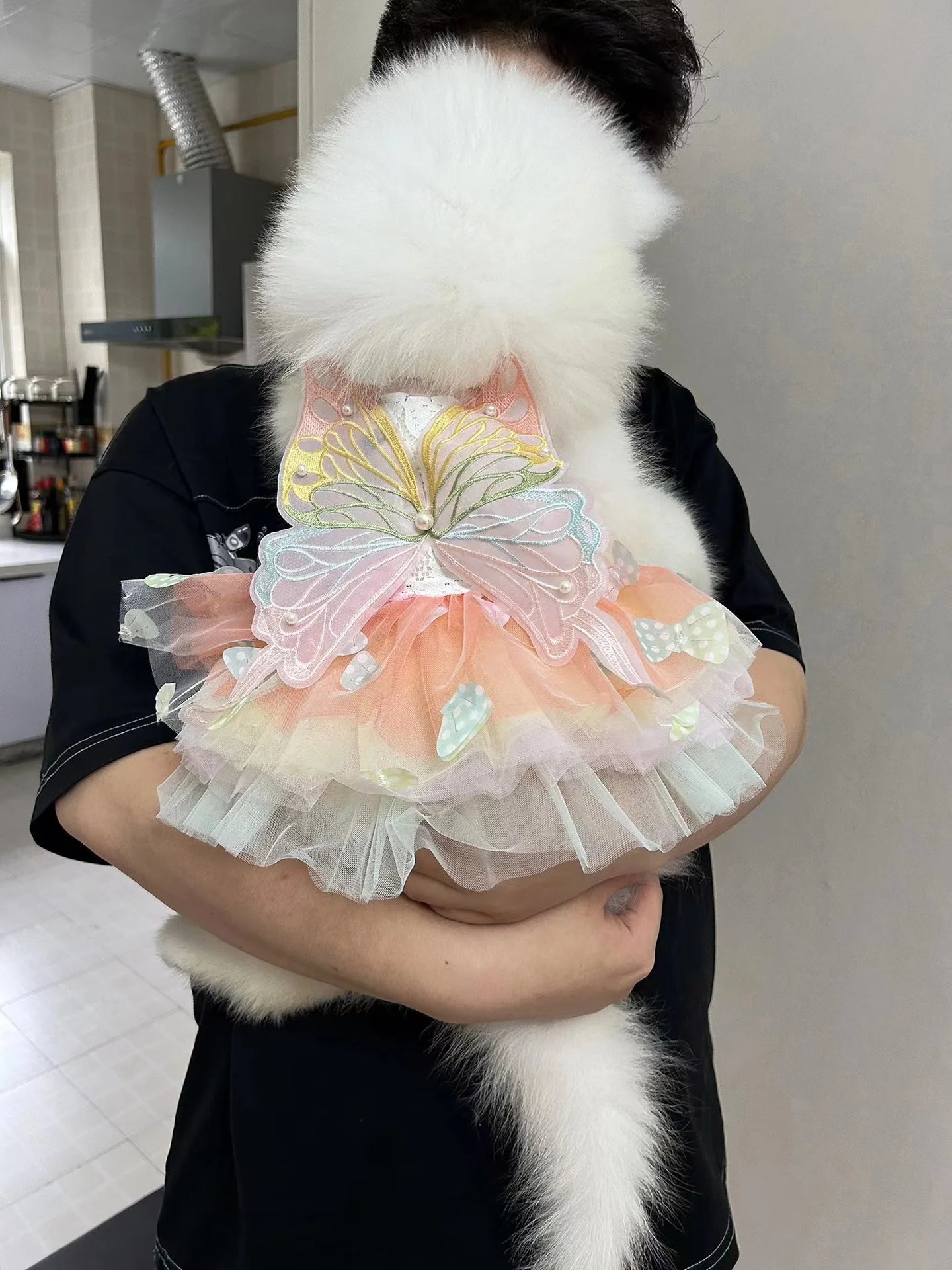 Butterfly Princess Dress